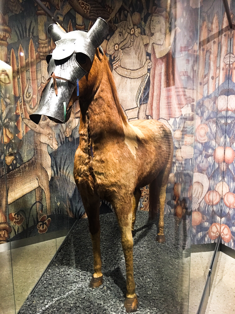 Cadolzburg Pferd