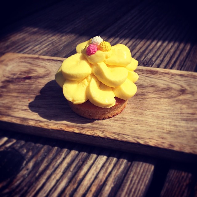 Vanille-Cupcakes mit Lemon-Frosting - Holla die Kochfee