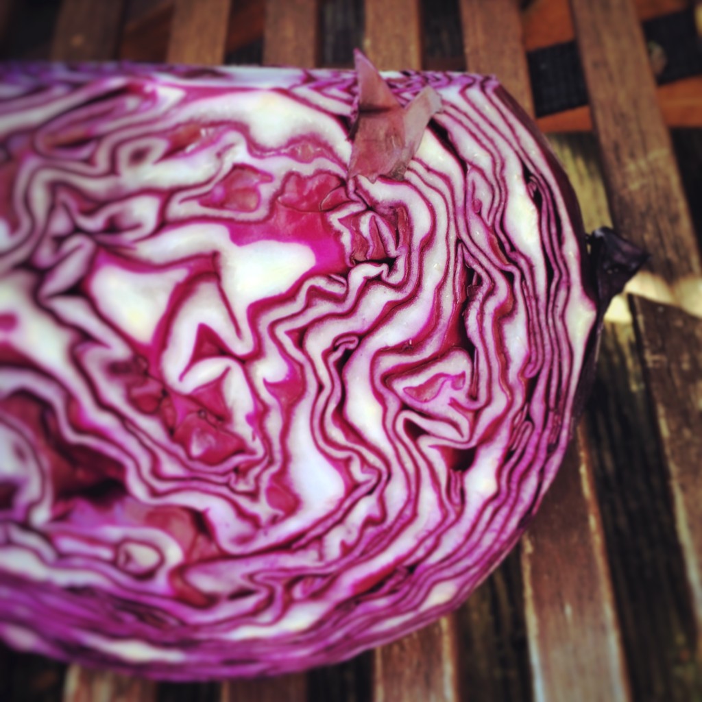 Rotkohl-Salat 8 kohl