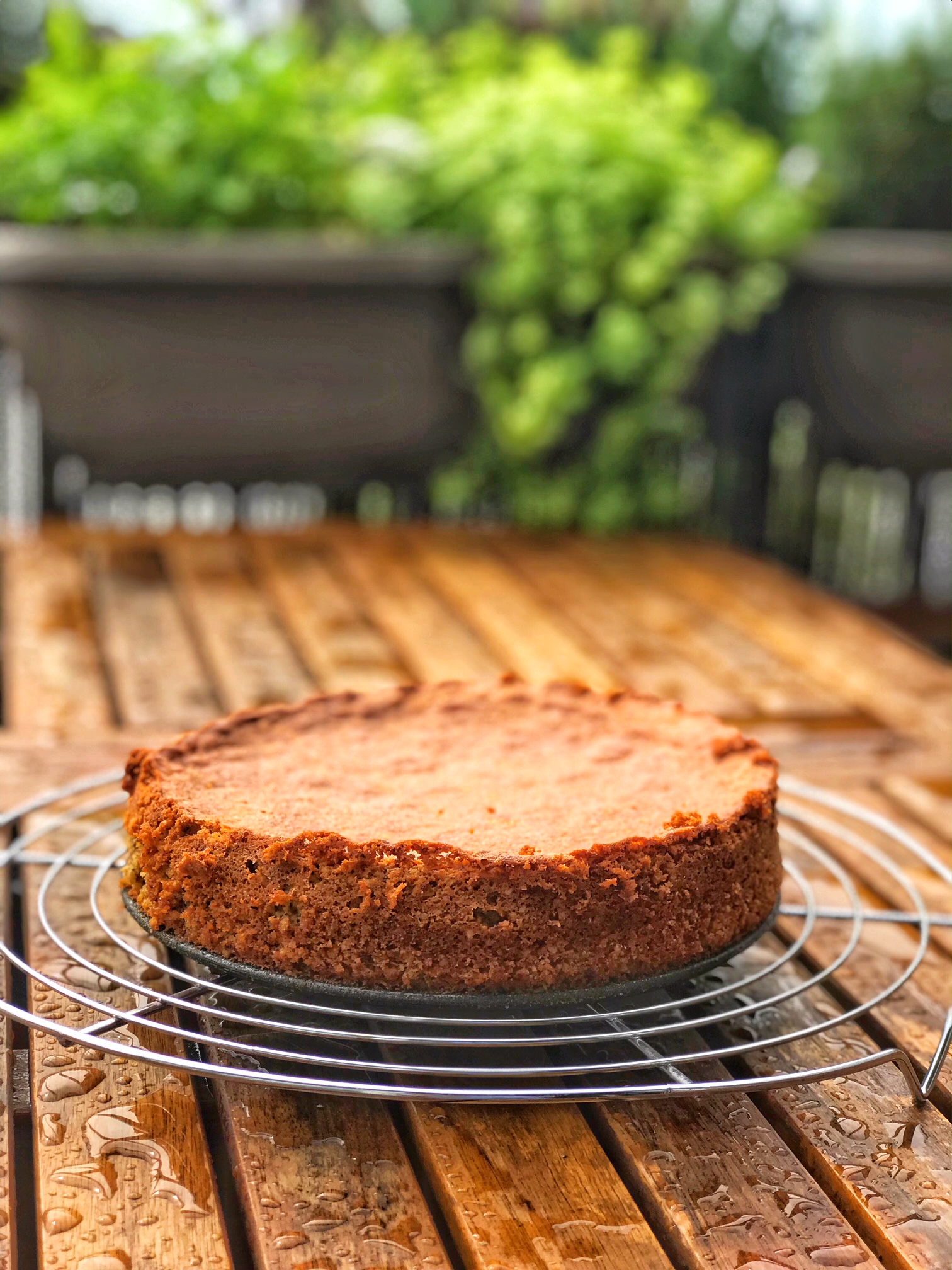 Espresso-Nuss-Kuchen Low Carb