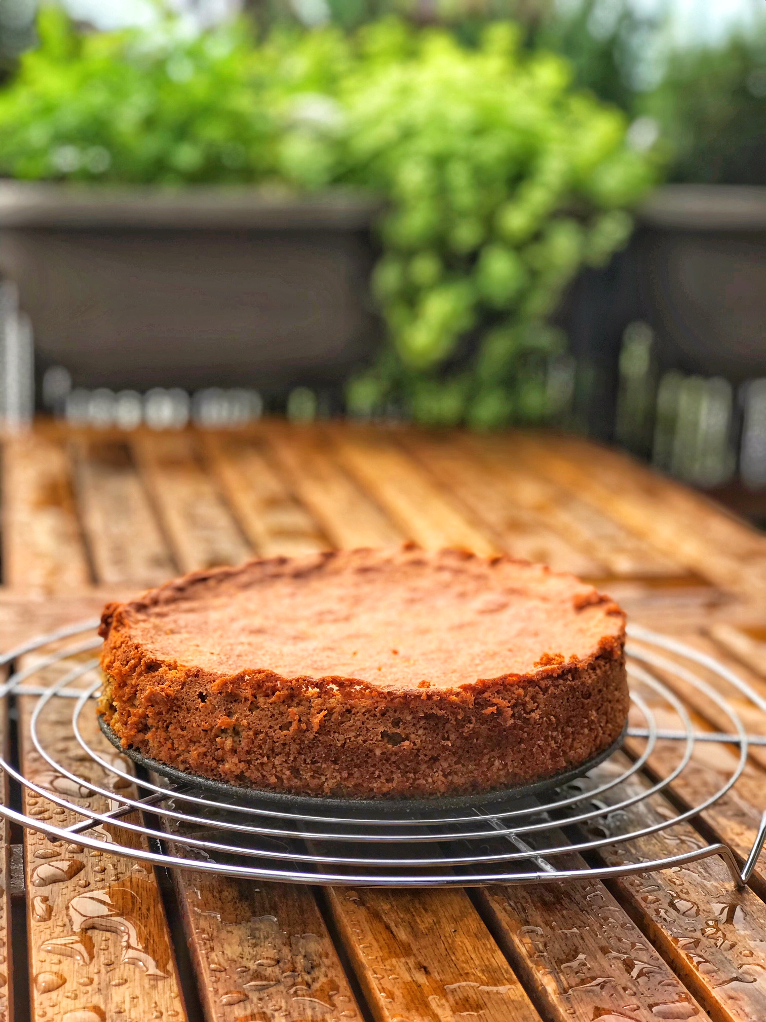 Espresso-Nuss-Kuchen mit Ganache - Holla die Kochfee