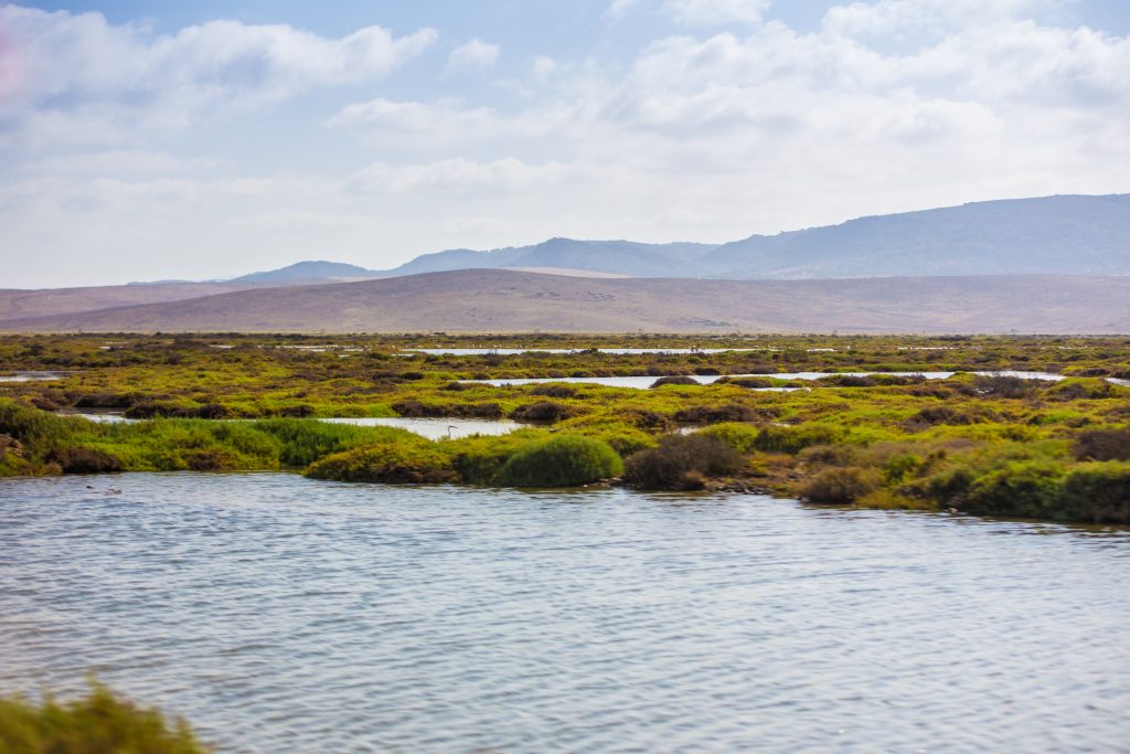 Lagunen vor der andalusischen Küste