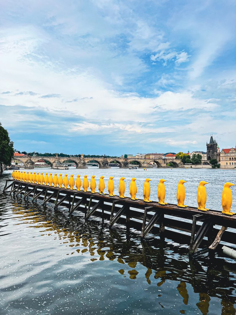 Praktische Tipps für deinen Trip nach Prag - am Kampa Museum