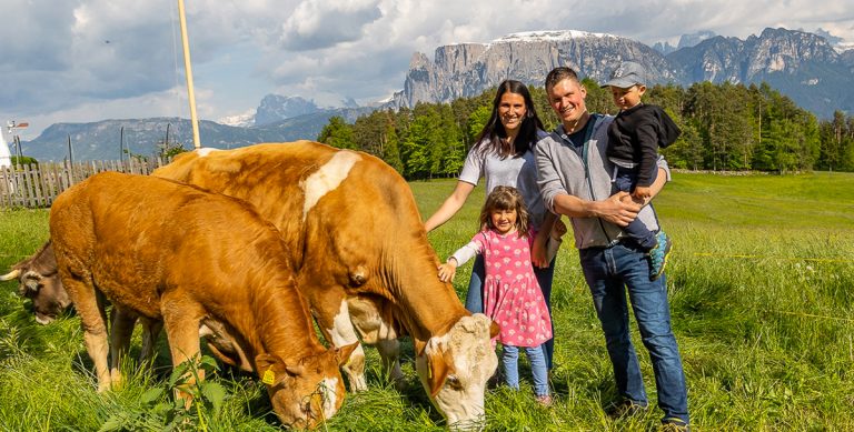 Der Schrofhof am Ritten Biofleisch