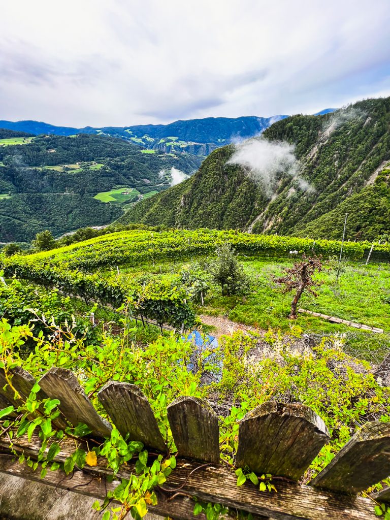 Der Ritten - das Sonnenplateau von Südtirol - die Aussicht vom Rielingerhof