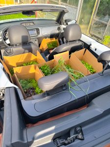 Auto voller Kräuter