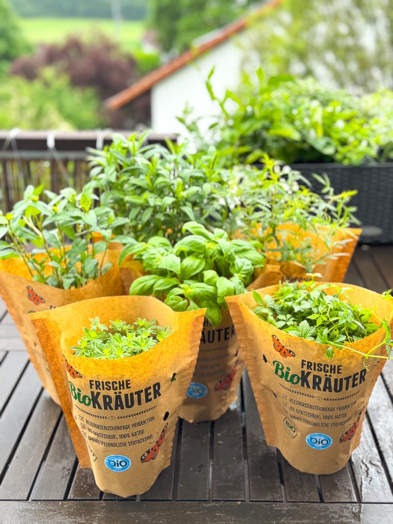 Bio Kräuter auf dem Balkon