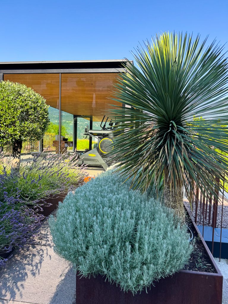 Design Hotel Muchele in Burgstall Südtirol - entspannter Luxus - Sportbereich