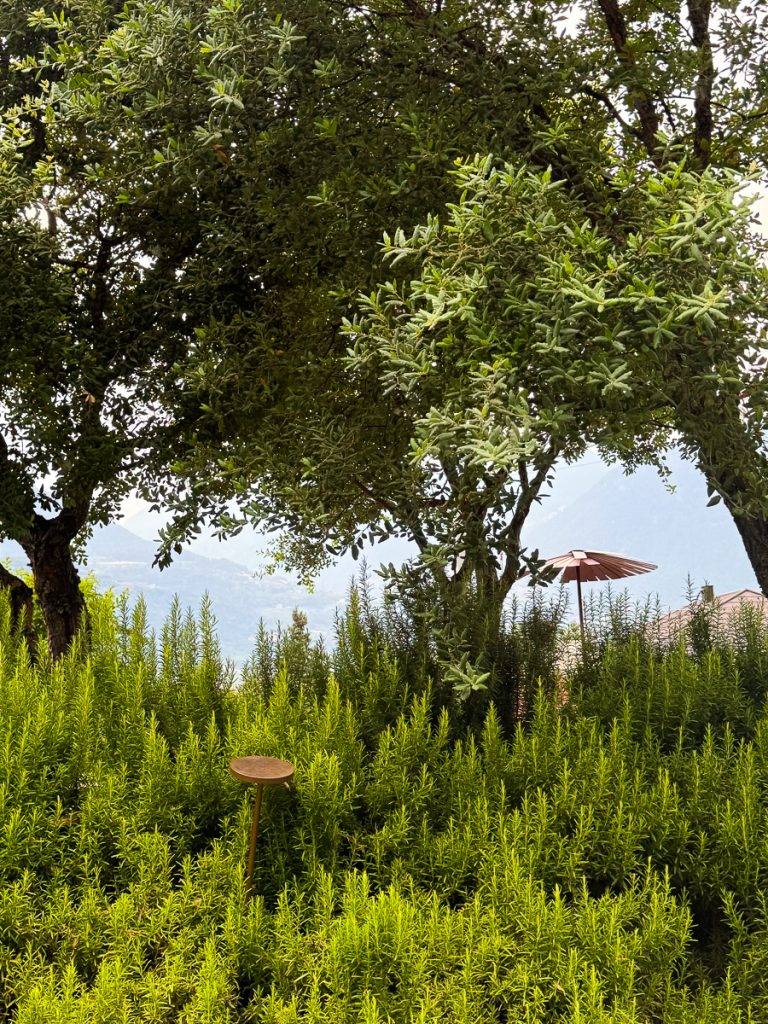 Garten im Design Hotel Muchele in Burgstall